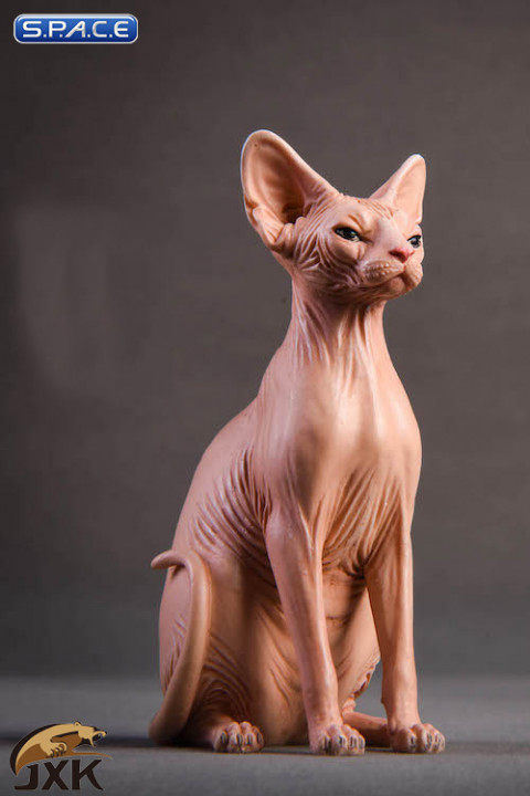 /6 Scale brown Canadian Hairless Cat