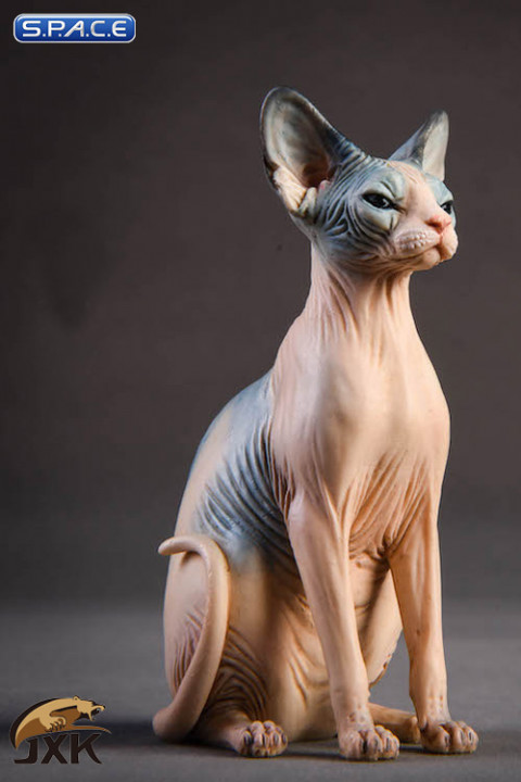 1/6 Scale pale & blue Canadian Hairless Cat