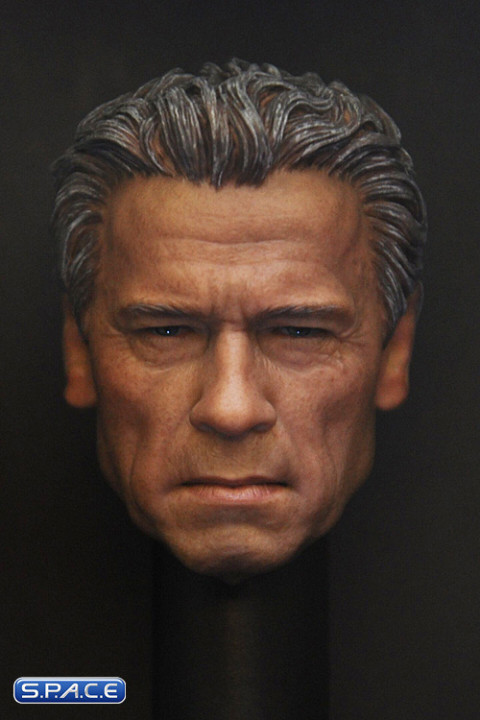 1/6 Scale Guardian Head Sculpt