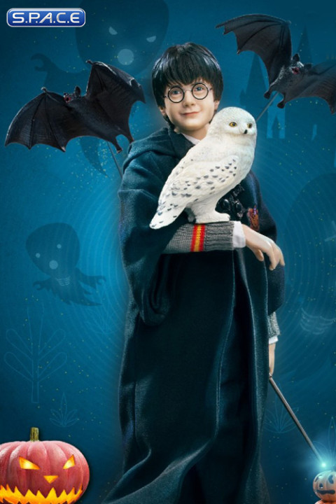 1/6 Scale Harry Potter Halloween Version (Harry Potter)