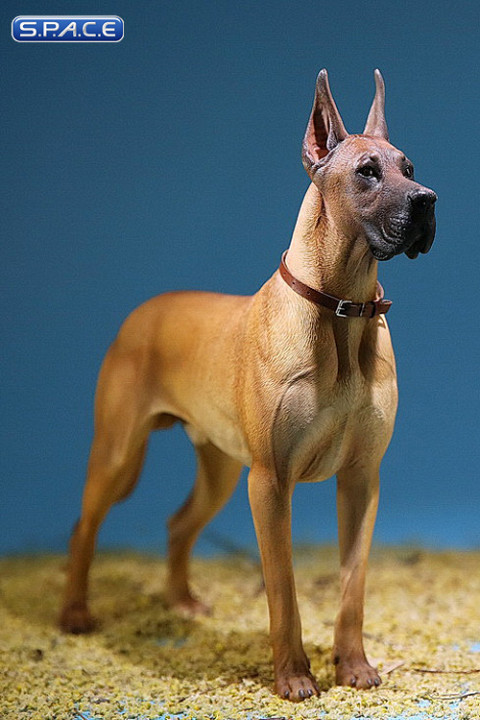 1/6 Scale beige Great Dane