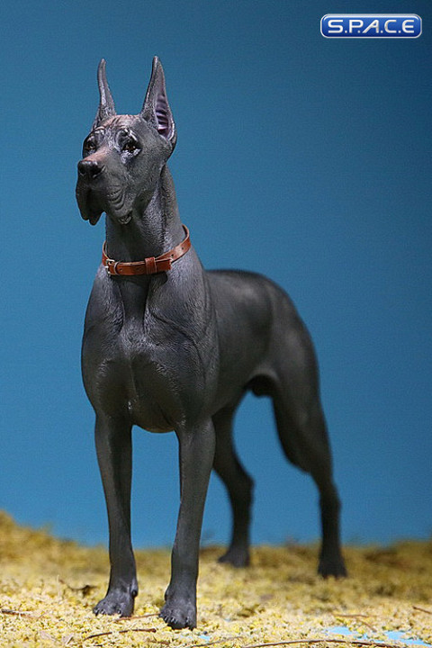 1/6 Scale dark grey Great Dane