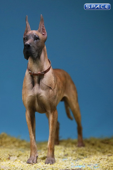 1/6 Scale brown Great Dane