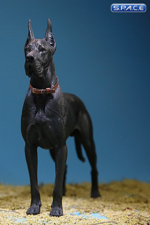 1/6 Scale black Great Dane