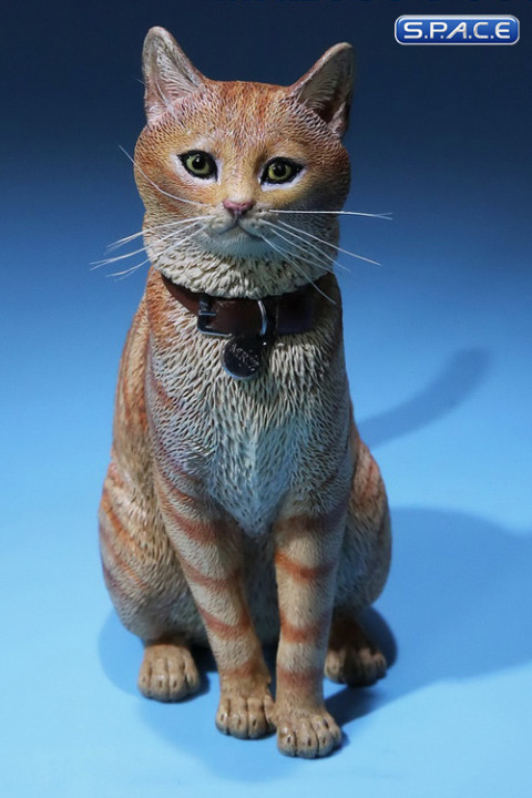 1/6 Scale orange tabby Cat