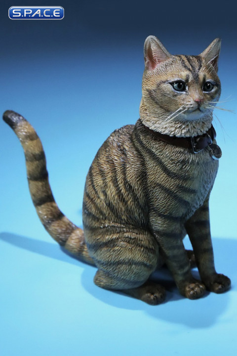 1/6 Scale mackerel tabby Cat