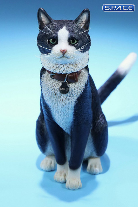 1/6 Scale black & white Cat