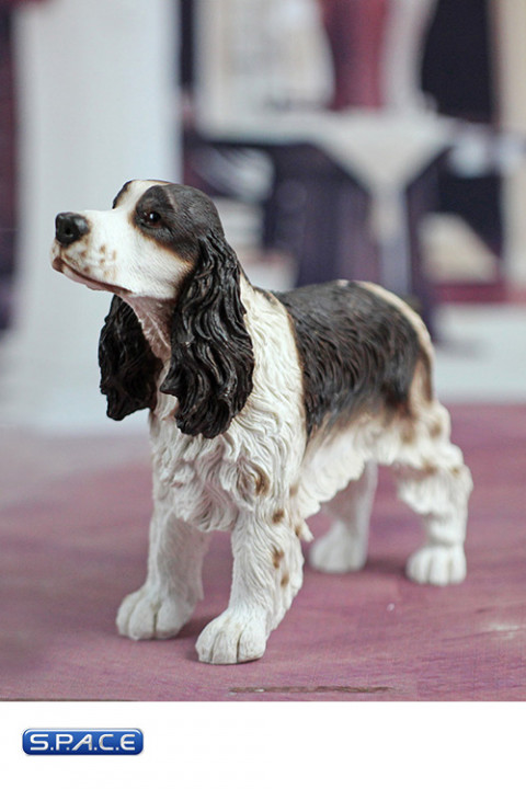 1/6 Scale brown Springer Spaniel