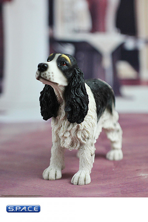 1/6 Scale black Springer Spaniel