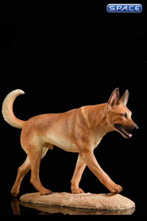 1/6 Scale light brown Malinois