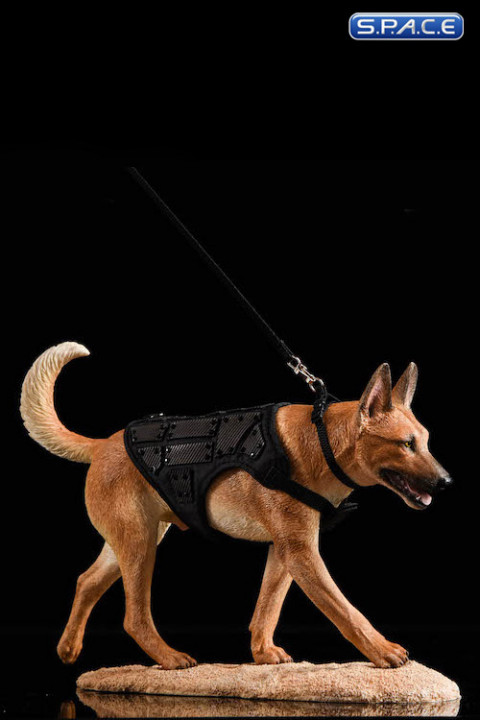 1/6 Scale light brown Malinois with Tactical Outfit
