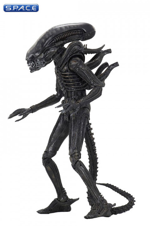 Ultimate Big Chap Alien 40th Anniversary (Alien)