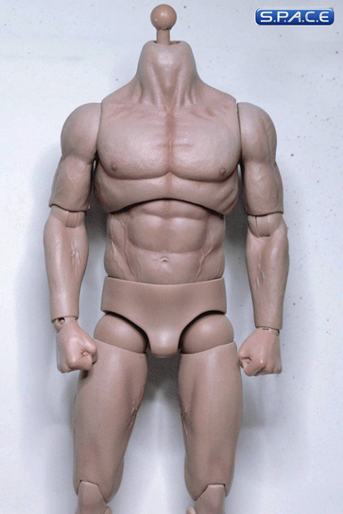 1/6 Scale Muscle Body pale KP03 - 2019 Version
