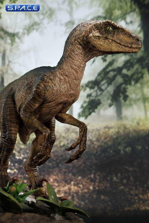 1/6 Scale Velociraptor Legacy Museum Collection Statue - closed Mouth Version (Jurassic Park)