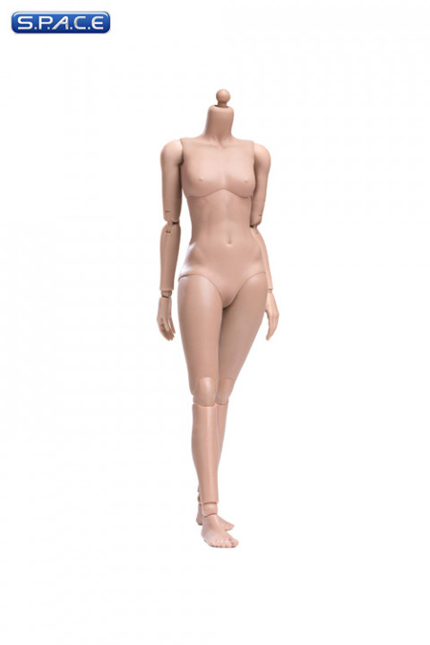 1/6 Scale female suntan Body (2019 Version / small Breast / with joints)