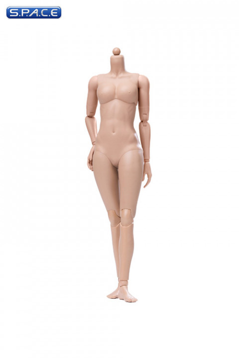 1/6 Scale female suntan Body (2019 Version / medium Breast / with joints)