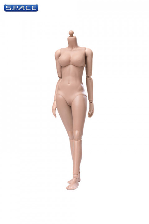 1/6 Scale female suntan Body (2019 Version / large Breast / with joints)