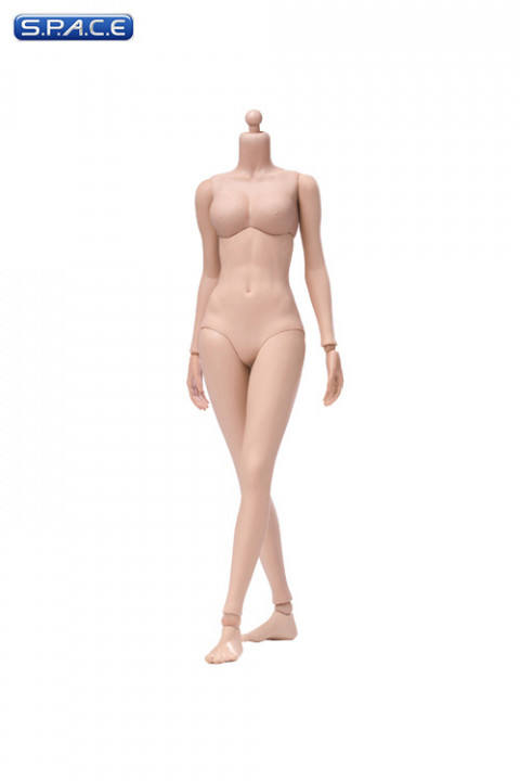 1/6 Scale female suntan Body (2019 Version / medium Breast / semi-seamless)