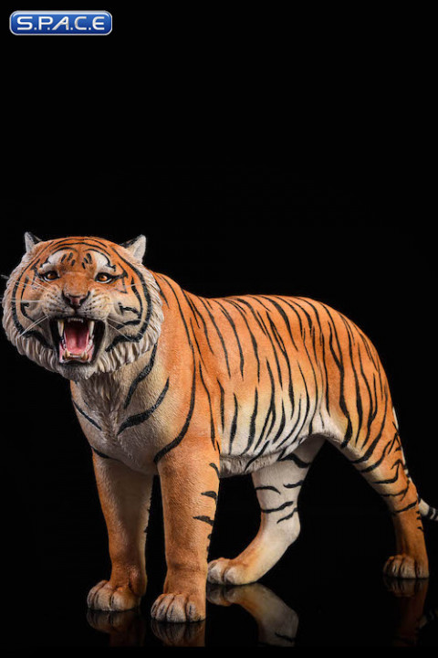 1/6 Scale yellow Bengal Tiger - Version 2