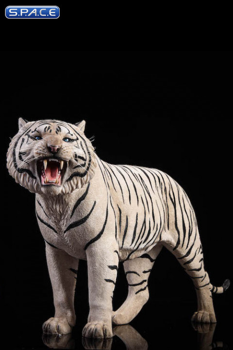 1/6 Scale white Bengal Tiger - Version 2