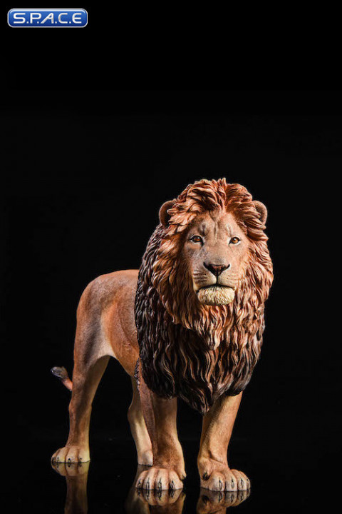 1/6 Scale brown Lion