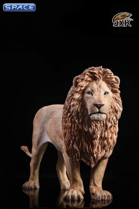 1/6 Scale grey Lion