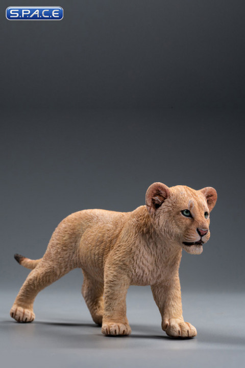 1/6 Scale sand-colored Simba