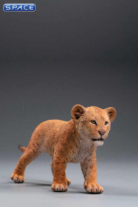 1/6 Scale yellow Simba