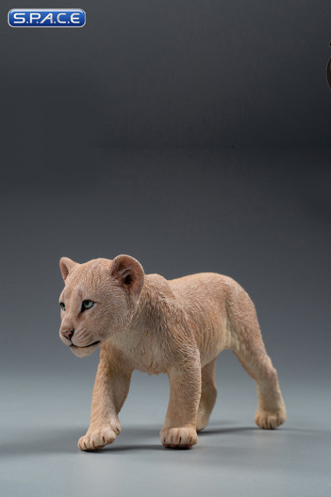 1/6 Scale sand-colored Nala