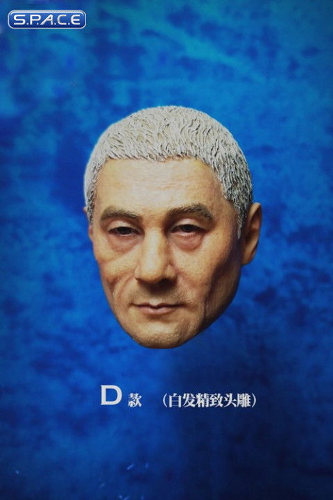 1/6 Scale Katsumi Head Sculpt (white hair)