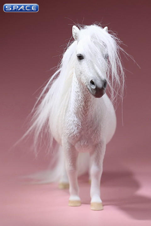 1/6 Scale white Shetland Pony