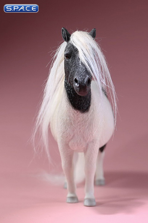 1/6 Scale black patched Shetland Pony