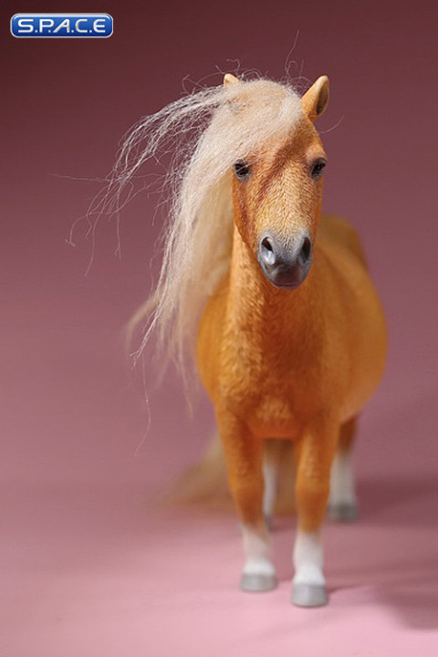 1/6 Scale sorrel Shetland Pony