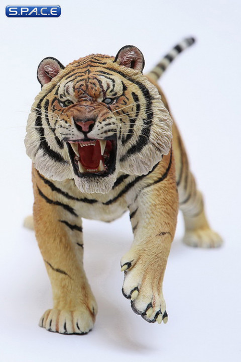 1/6 Scale attacking Tiger - Panthera Tigris Altaica