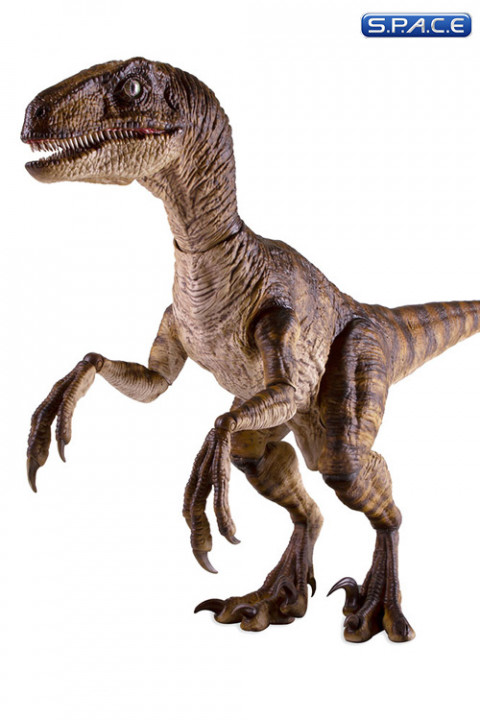 1/6 Scale Velociraptor (Jurassic Park)