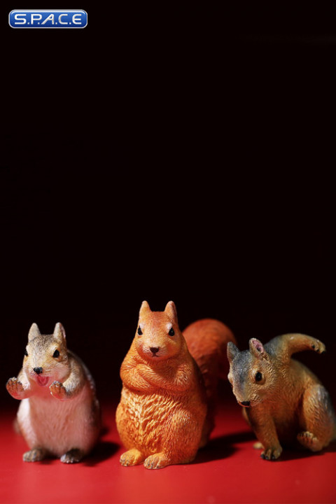 1/6 Scale Squirrel Set A