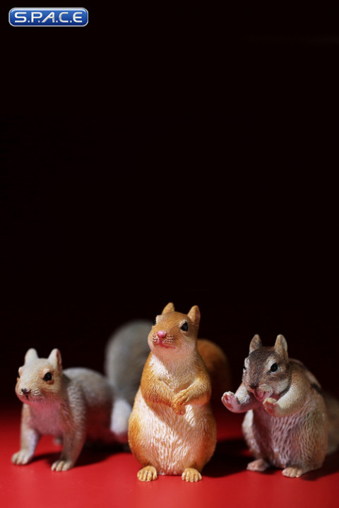 1/6 Scale Squirrel Set B