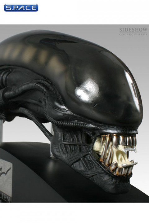 1/4 Scale Gigers Alien Head Replica (Alien)