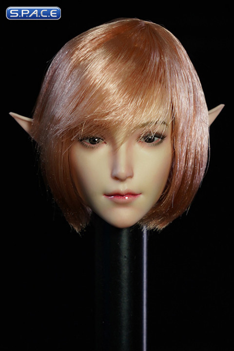 1/6 Scale Valaina Head Sculpt (short rose hair)