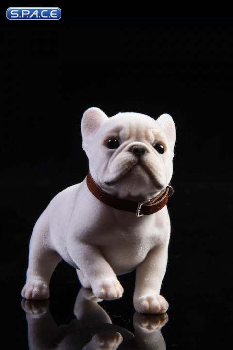 1/6 Scale French Bulldog Puppy (white)