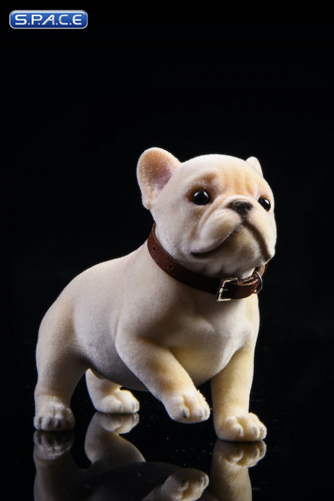 1/6 Scale French Bulldog Puppy (beige)