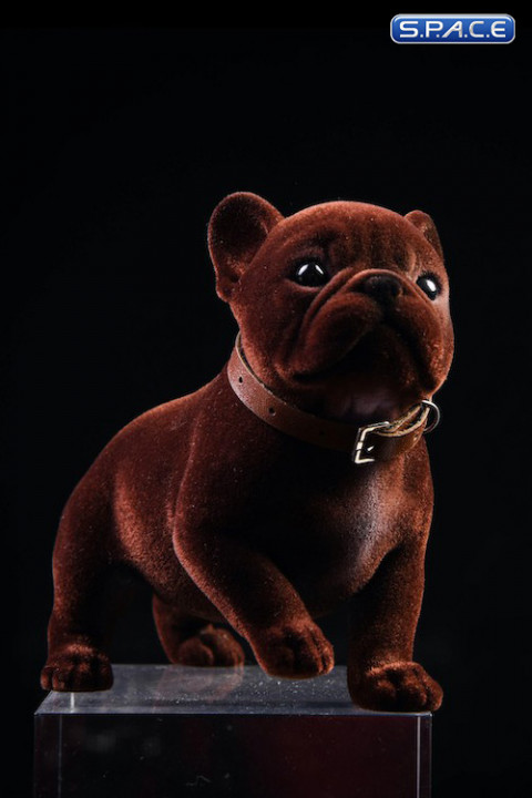 1/6 Scale French Bulldog Puppy (brown)