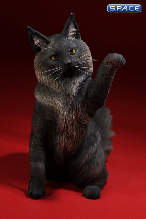 1/6 Scale Maine Coon (blue solid)