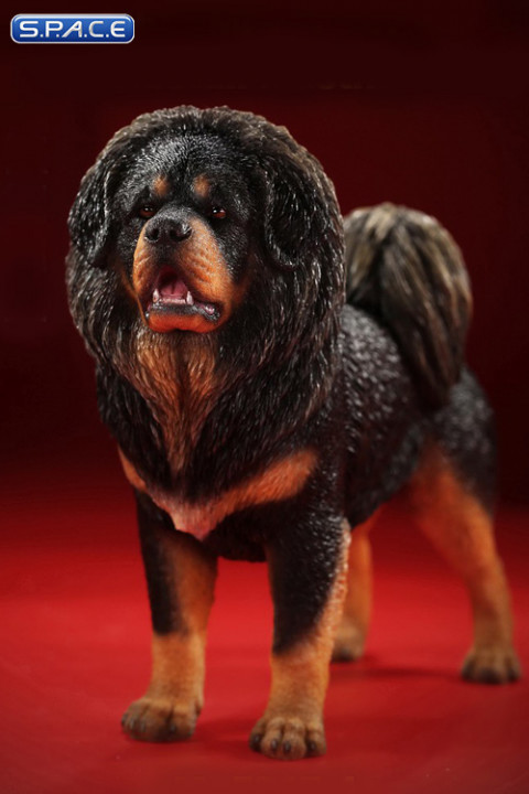 1/6 Scale Tibetan Mastiff (black/brown)