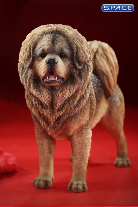 1/6 Scale Tibetan Mastiff (light brown)