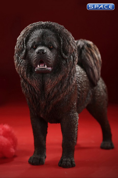 1/6 Scale Tibetan Mastiff (dark brown)