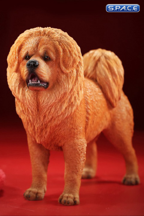 1/6 Scale Tibetan Mastiff (sand colored)