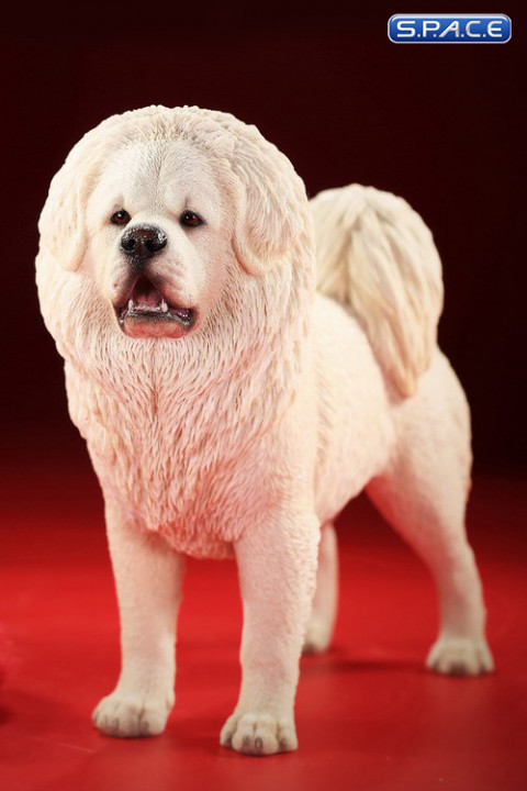 1/6 Scale Tibetan Mastiff (white)