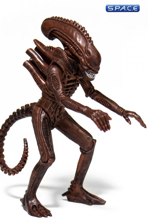 Alien Warrior ReAction Figure - Dusk Brown Version (Aliens)