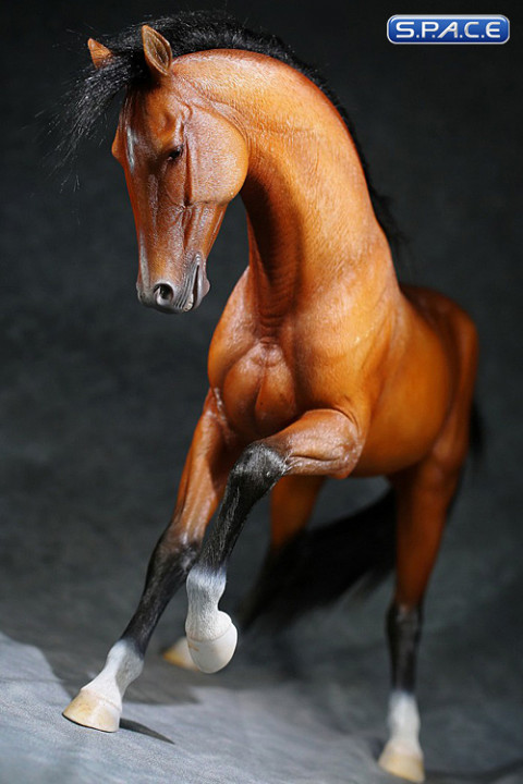 1/6 Scale Akhal Teke Horse (red)